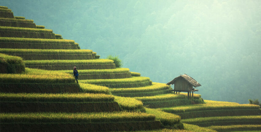 Bali : privat jetuthyrning 