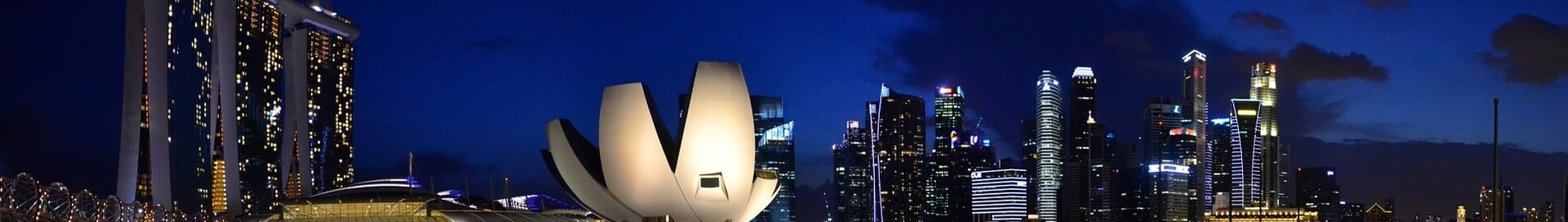 Singapore: hyra av privatjet 