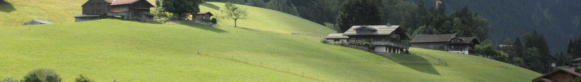 Paris - Gstaad: privat jetuthyrning 
