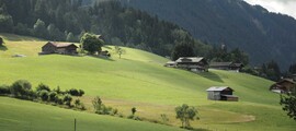 Zürich - Milano Linate: privat jetuthyrning