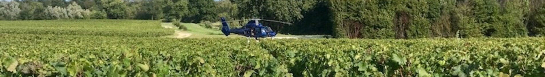 Upptäck vingårdarna med helikopter