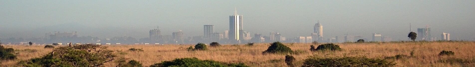 Nairobi: uthyrning av privatjet 