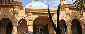 Johannesburg: privat jetuthyrning 