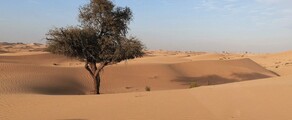 Abu Dhabi: hyra av privatjet 