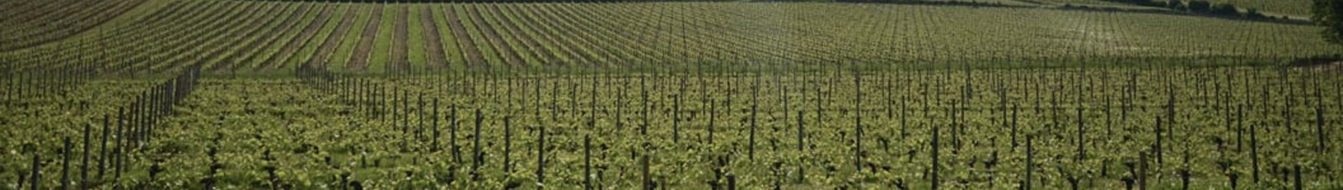 Bordeaux Mérignac: privat jetuthyrning 