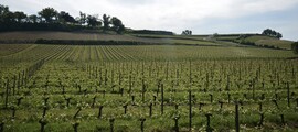 Berre La Fare : privatjetuthyrning