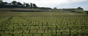 Bordeaux Mérignac: privat jetuthyrning 