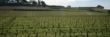 Lviv Danylo Halytskyi : location de jet privé