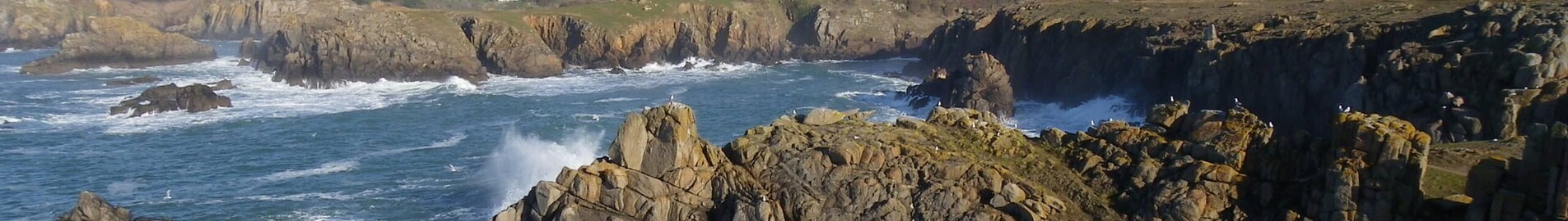 Ile d'Yeu: privatjetuthyrning 