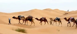 Djerba Zarzis : privat jetuthyrning