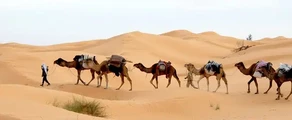 Tunis: privat jetuthyrning