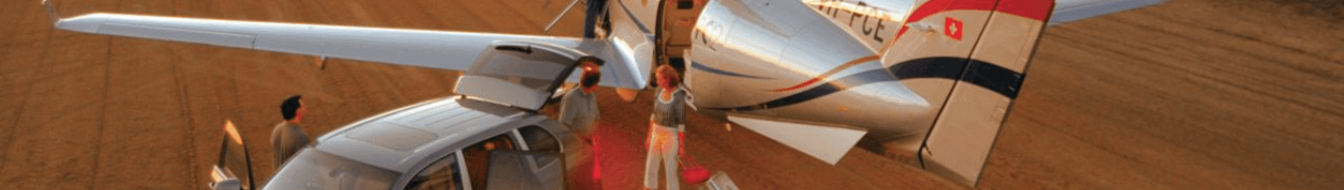 Hyr en privatjet för en safari