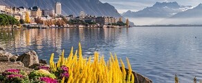 Hamburg - Genève: privat jetuthyrning