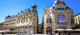Lille-Lesquin: privat jetuthyrning