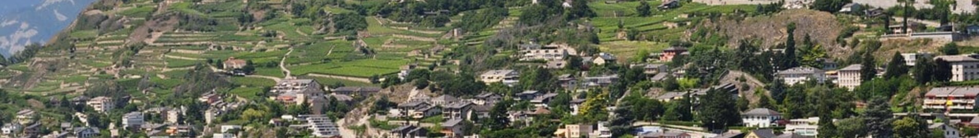 Sion : privat jetuthyrning 