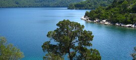 Dubrovnik : privat jetuthyrning 