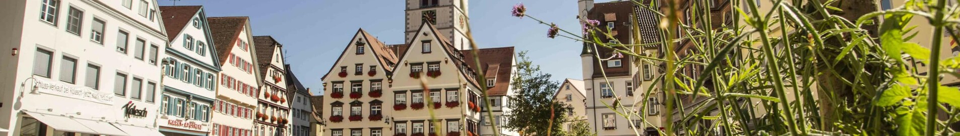 Biberach An Der Riss : privatjetuthyrning 