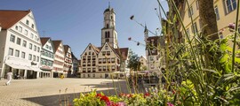 Trier Fohren: privatjetuthyrning 