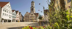 Biberach An Der Riss : privatjetuthyrning 