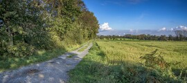 Arnsberg: hyra av privatjet 