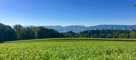 Sion Verbier: privat jetuthyrning 