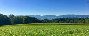 Dubendorf: privat jetuthyrning 