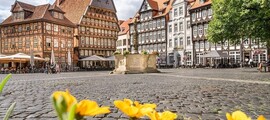 Mannheim Neuostheim: privat jetuthyrning 