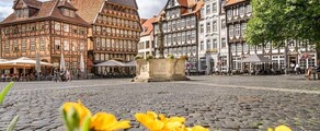 Hildesheim: hyra av privatjet 