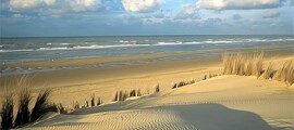 Bryssels flygplats: privat jetuthyrning 