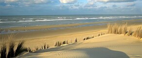 Koksijde : privat jetuthyrning 