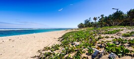 La Réunion: Uthyrning av privatjet 