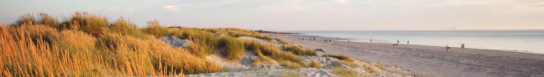 Wittering : privatjetuthyrning 