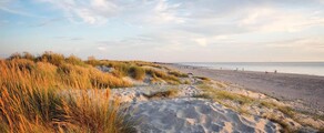 Wittering : privatjetuthyrning 