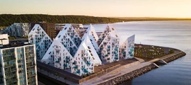 Aars: uthyrning av privatjet 