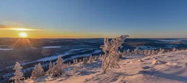 Vilhelmina : uthyrning av privatjet