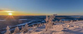 Arvidsjaur : uthyrning av privatjet