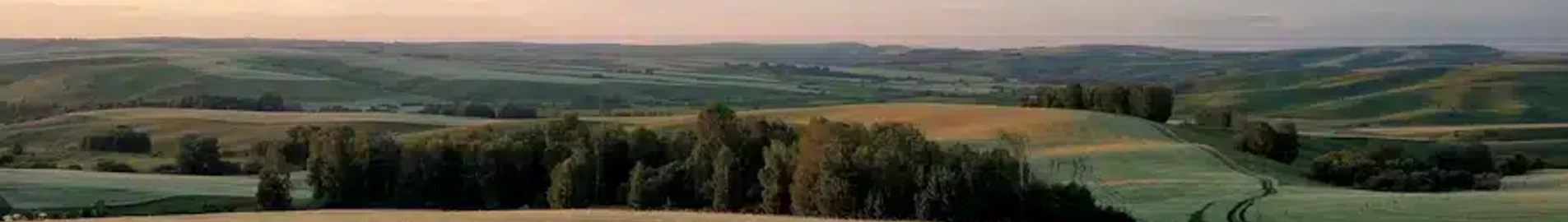 Barnaul : privatjetuthyrning