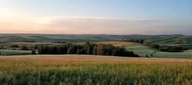 Kursk Vostochny : privat jetuthyrning