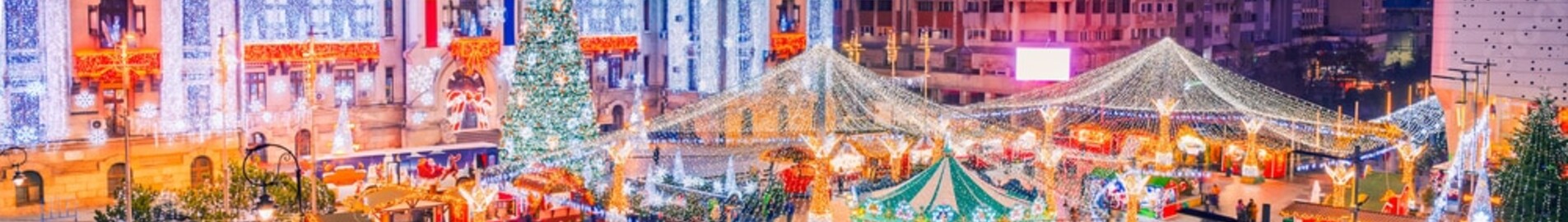 Craiova: privat jetuthyrning 