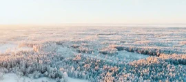Danmark: Uthyrning av privatjet