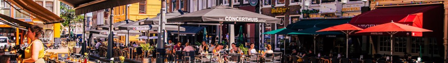 Groningen Eelde : plats för privatflyg 