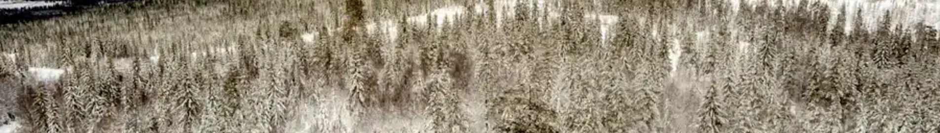 Hagfors : privatjetuthyrning