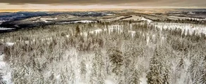 Hagfors : privatjetuthyrning
