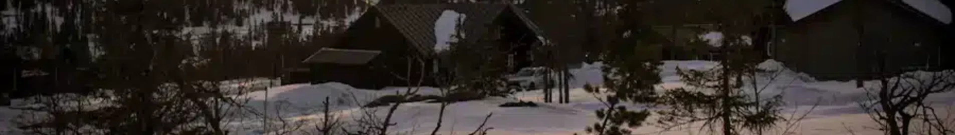 Hede-vemdalen Hedlanda : uthyrning av privatjet