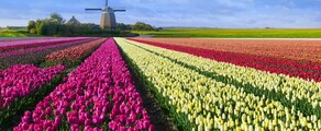 Hoogeveen : plats för privatflyg