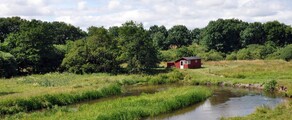 Karup: hyra av privatjet 