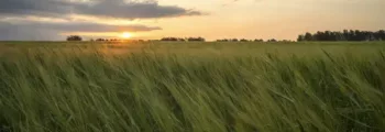 Touquet Côte d’Opale jet privé