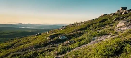 Visby : privatjetuthyrning