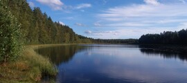 Mikkeli : privat jetuthyrning 