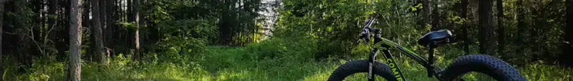 Kurgan : privat jetuthyrning